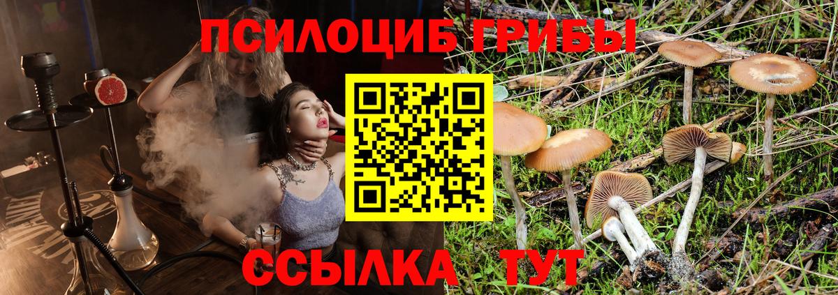 Галлюциногенные грибы ЛСД Обь