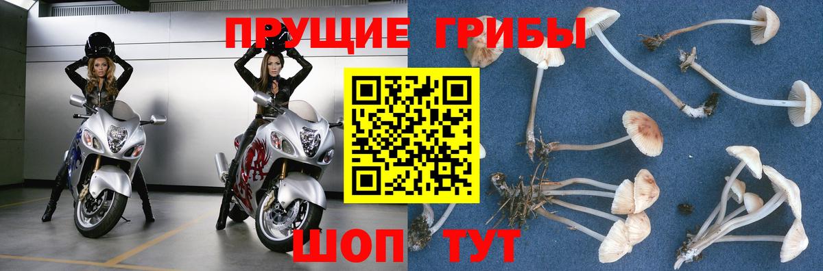 где продают   Псилоцибиновые грибы Psilocybe  Вход с VPN  Галлюциногенные грибы Cubensis  Обь 